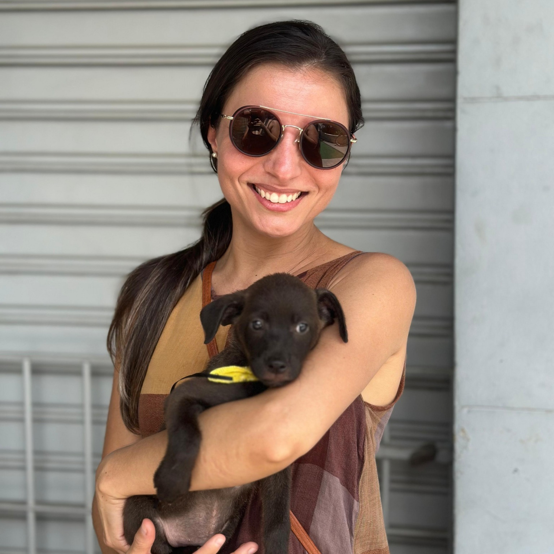 Saquarema realizará mais uma edição da Campanha de Adoção de Animais - Divulgação/Prefeitura de Saquarema