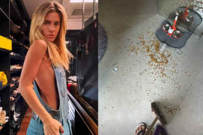 Carolina Dieckmann tem casa invadida por macacos: 'Quebraram tudo'
