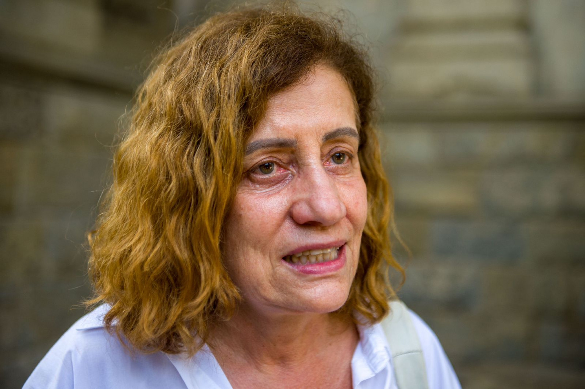 Jornalista Miriam Leit&atilde;o valorizou o legado deixado por Marina Colasanti - Armando Paiva / Ag&ecirc;ncia O Dia