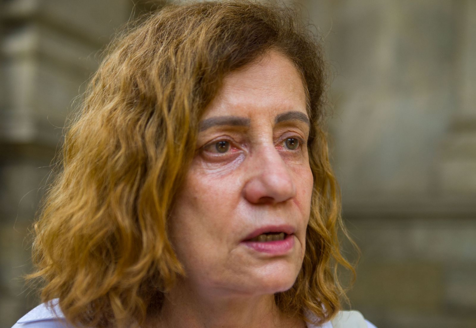 Jornalista Miriam Leitão valorizou o legado deixado por Marina Colasanti - Armando Paiva / Agência O Dia