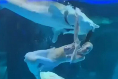 Vídeo: sereia profissional tem cabeça mordida por peixe em aquário na China