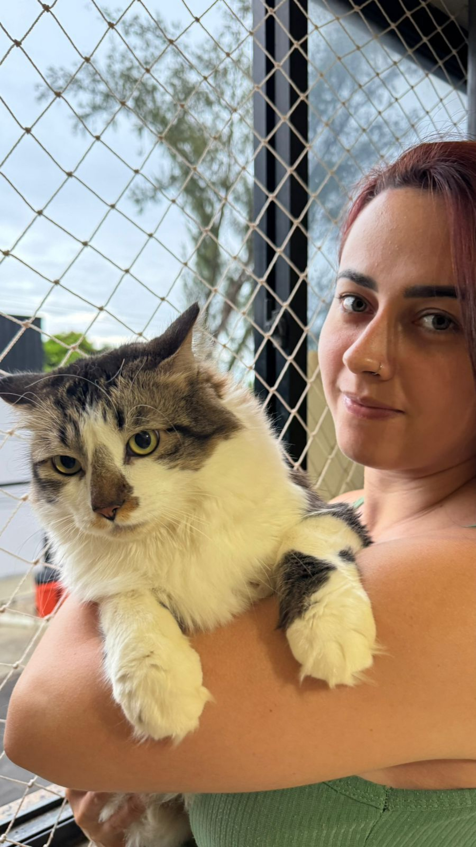 Patrícia com Oswaldinho: tutora de três gatos, ela nunca abre mão da segurança e instalou redes de proteção nas janelas do apartamento