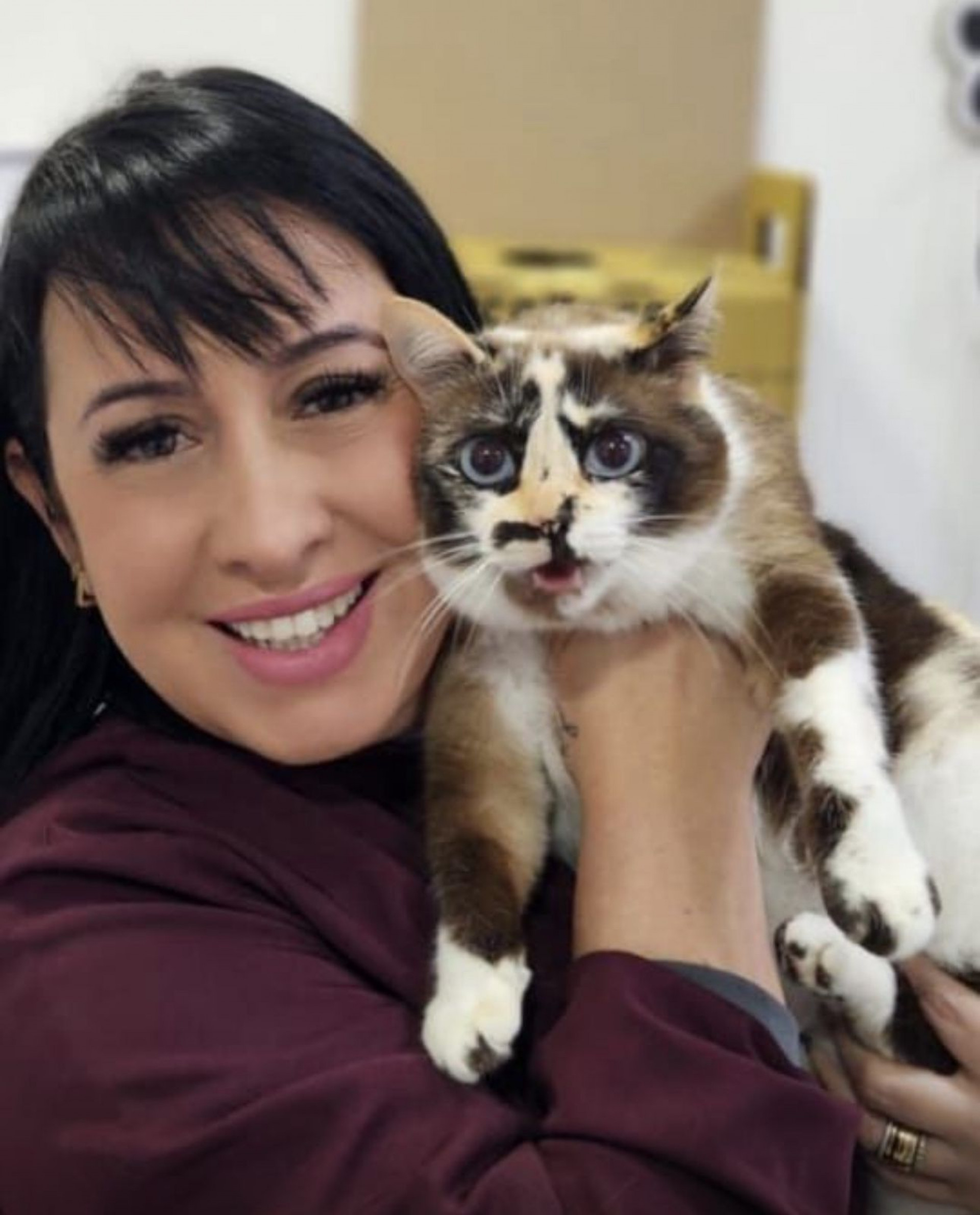 Nathaly diz que gatos não têm que ir à rua para serem felizes