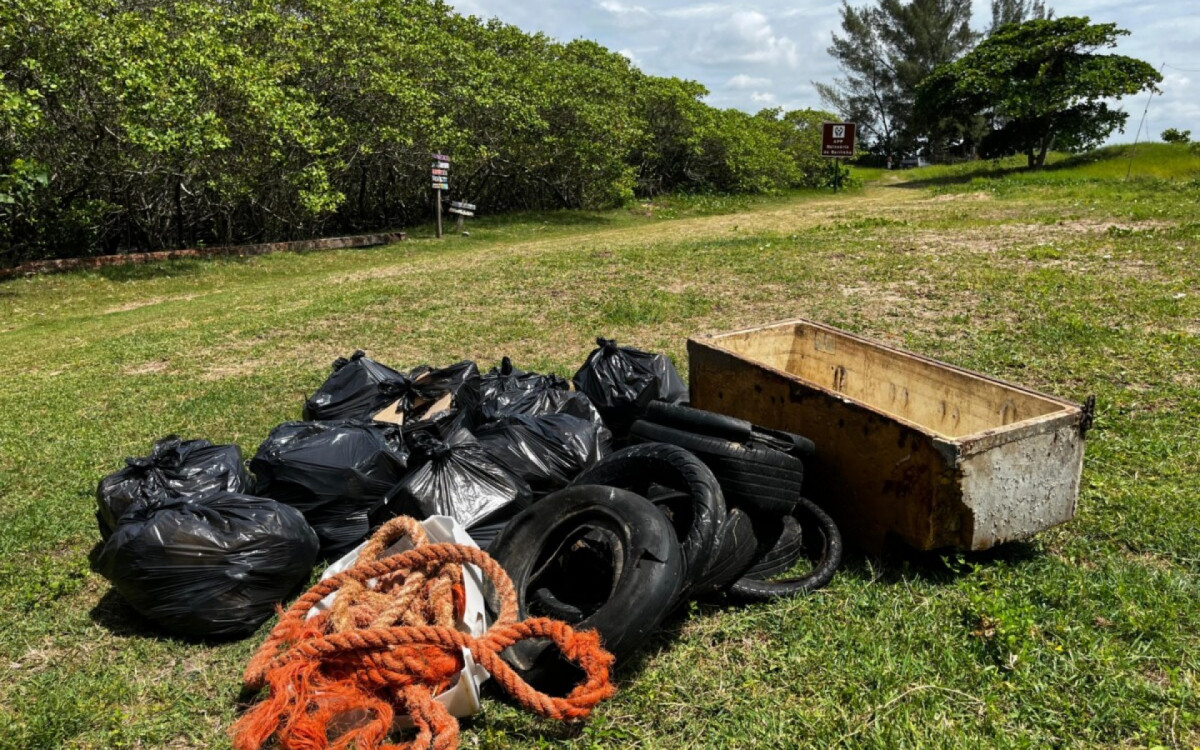 Ação ambiental em Barra do Furado promove plantio e limpeza no manguezal