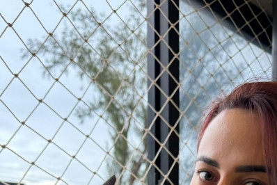 Gatos domésticos podem dar voltinhas? 