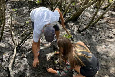 Quissamã reforça compromisso ambiental com plantio e limpeza no manguezal de Barra do Furado