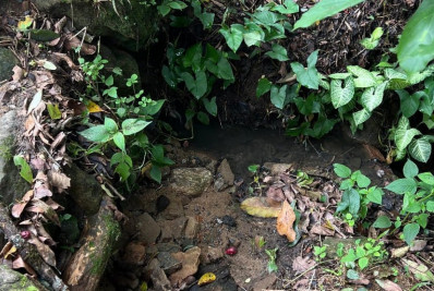 Esgoto é lançado em riacho em Paraty