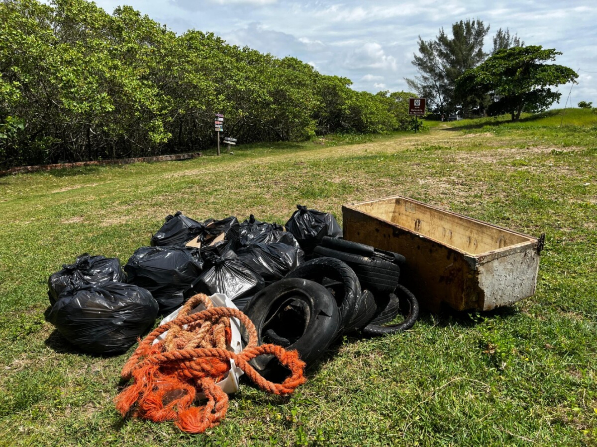 A&ccedil;&atilde;o ambiental em Barra do Furado promove plantio e limpeza no manguezal - Foto: Divulga&ccedil;&atilde;o
