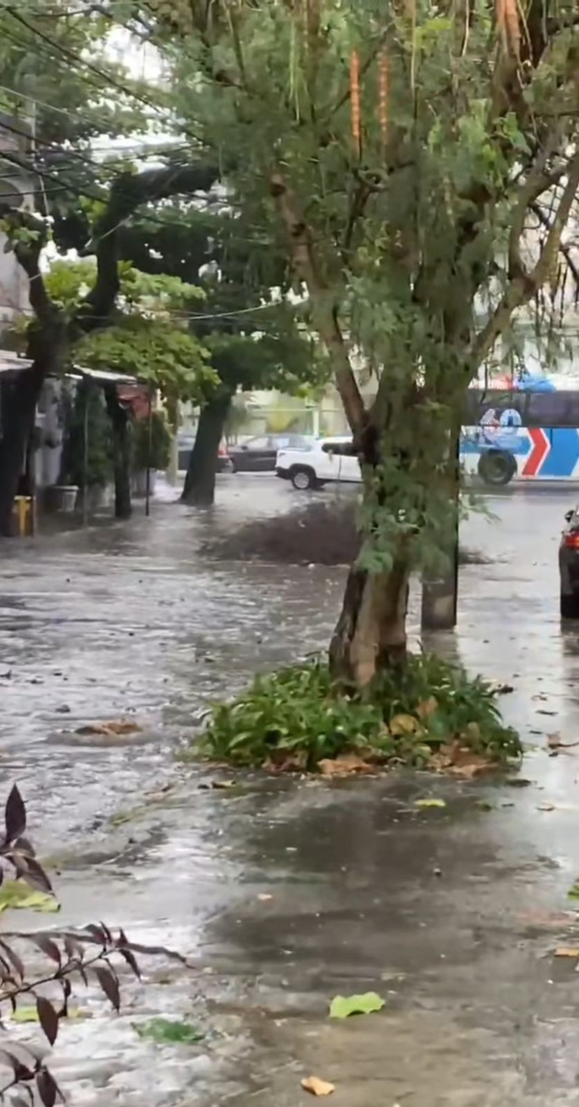 Rua Padre Belizário, em Campo Grande, fica alagada após forte chuva - Reprodução / redes sociais