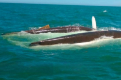 Veleiro afunda na Praia das Pedrinhas e alerta para riscos da navegação em época de ventos fortes