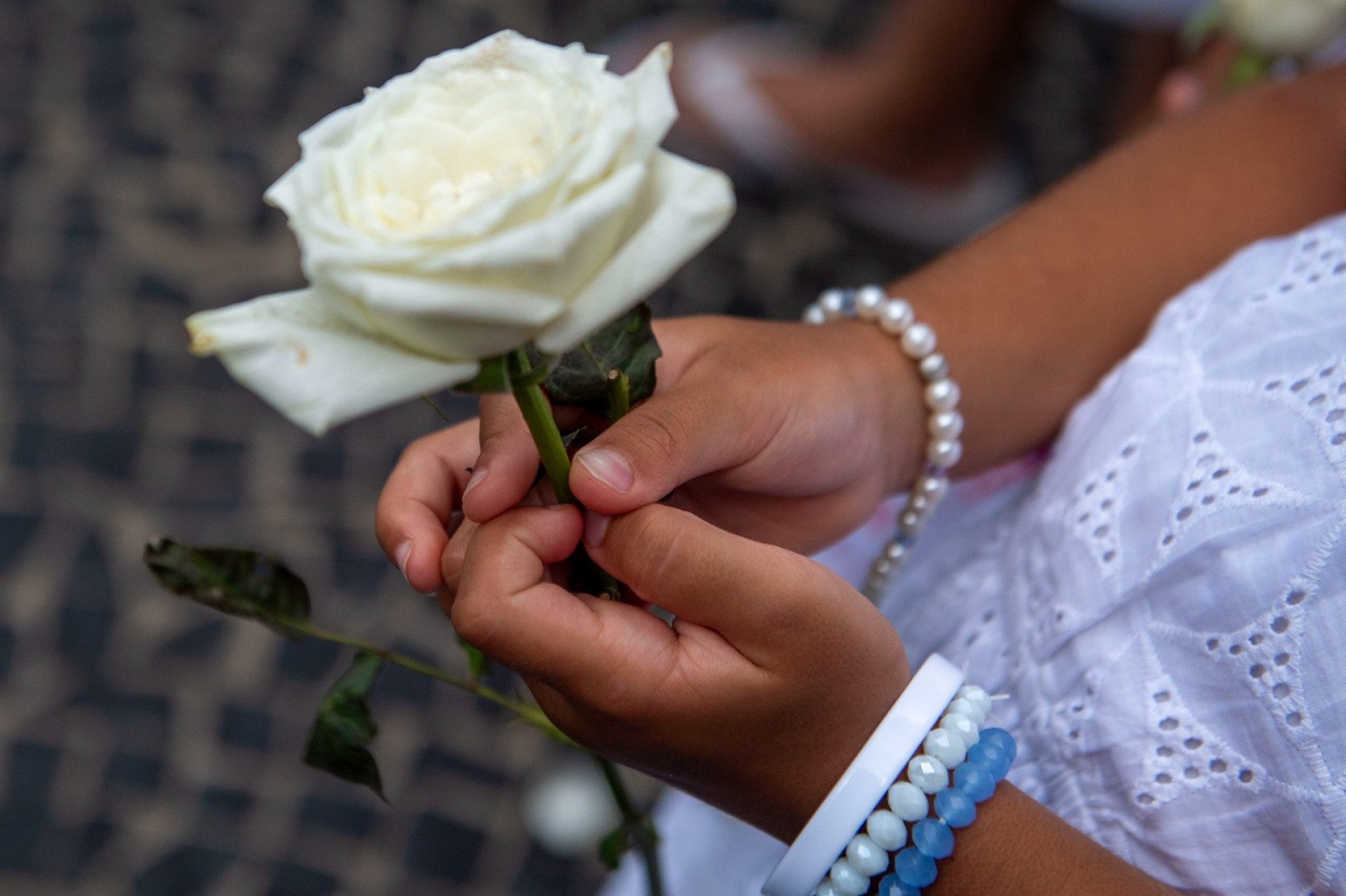 Flores brancas para ofertar a aniversariante do dia - Armando Paiva / Agência O Dia