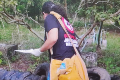 Surto de arbovirose gera preocupação e município desdobra campanha