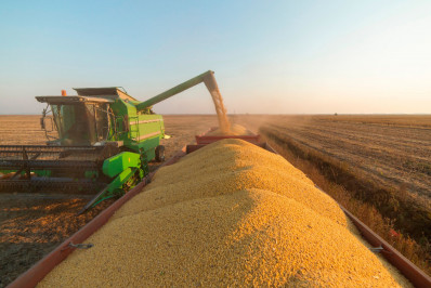 Ministro da Agricultura diz que preços dos alimentos tendem a baixar com 'supersafra' e dólar