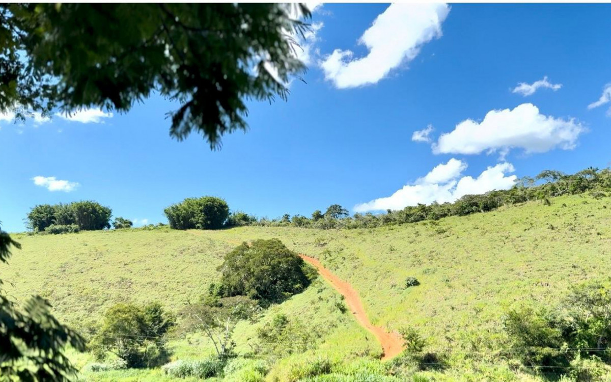 Projeto Areal Reflorestando