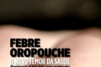 Mosquito-Pólvora ataca no município