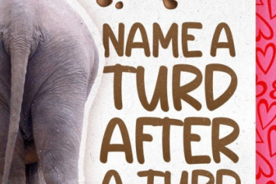 Zoológico faz campanha para enviar vídeo de cocô de elefante para ex-namorados