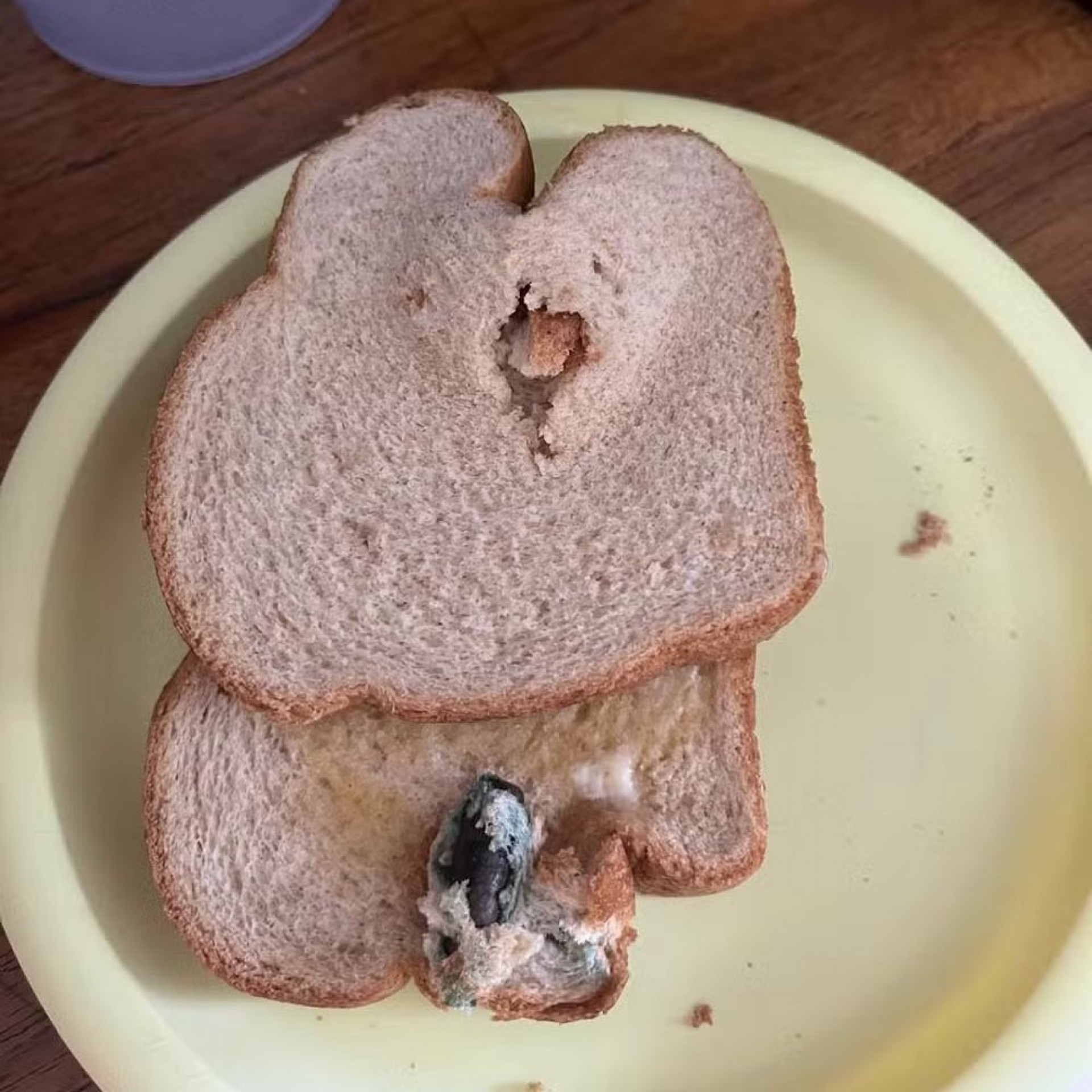 Projétil no pão é do fuzil 7.62 - Arquivo pessoal