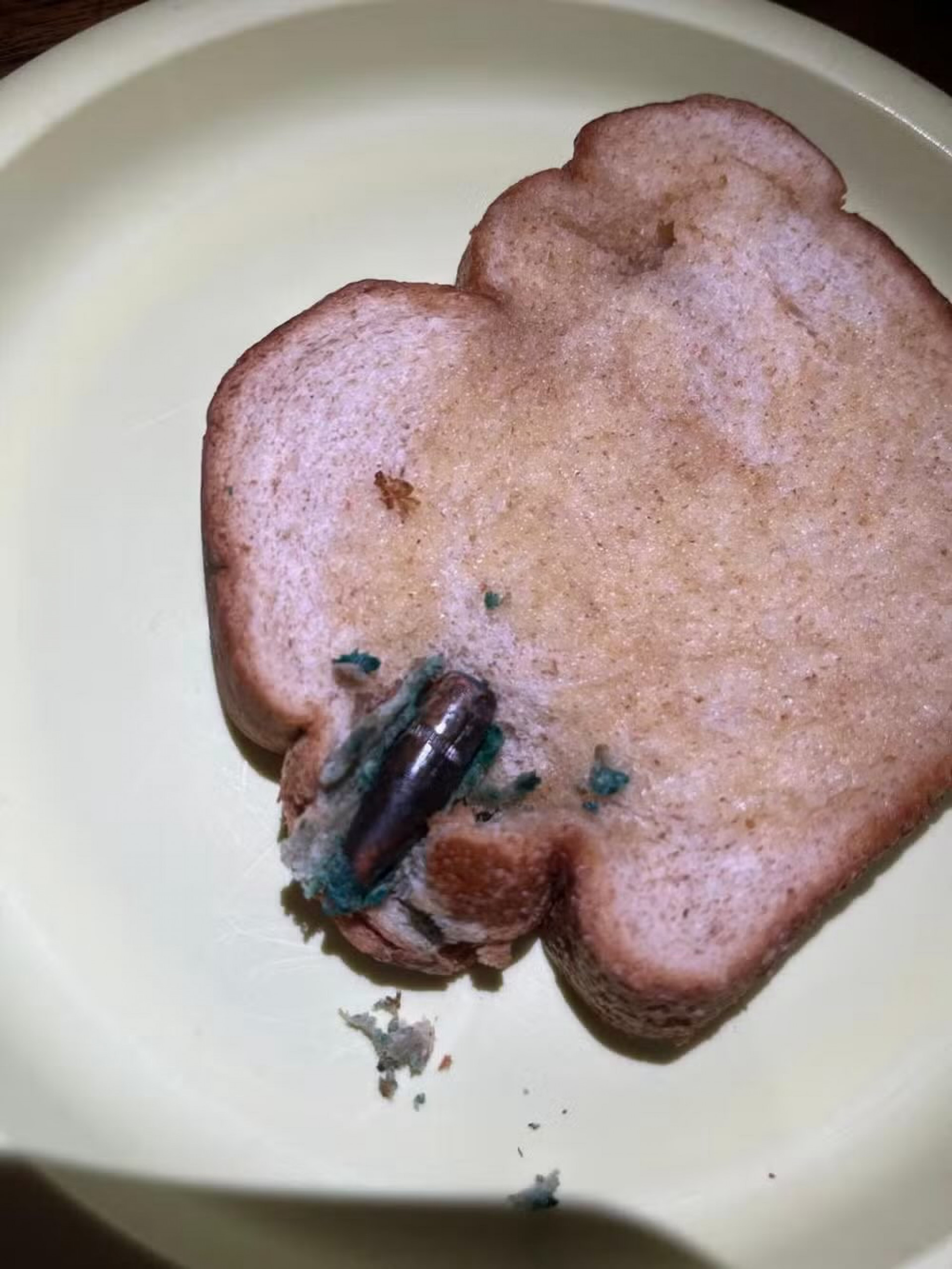 Bala de fuzil foi encontrada dentro do pão de forma em casa de moradora do Flamengo - Arquivo pessoal