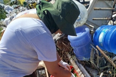 Mutirão NCZ contra Aedes aegypti visita quase 600 imóveis e elimina 548 focos