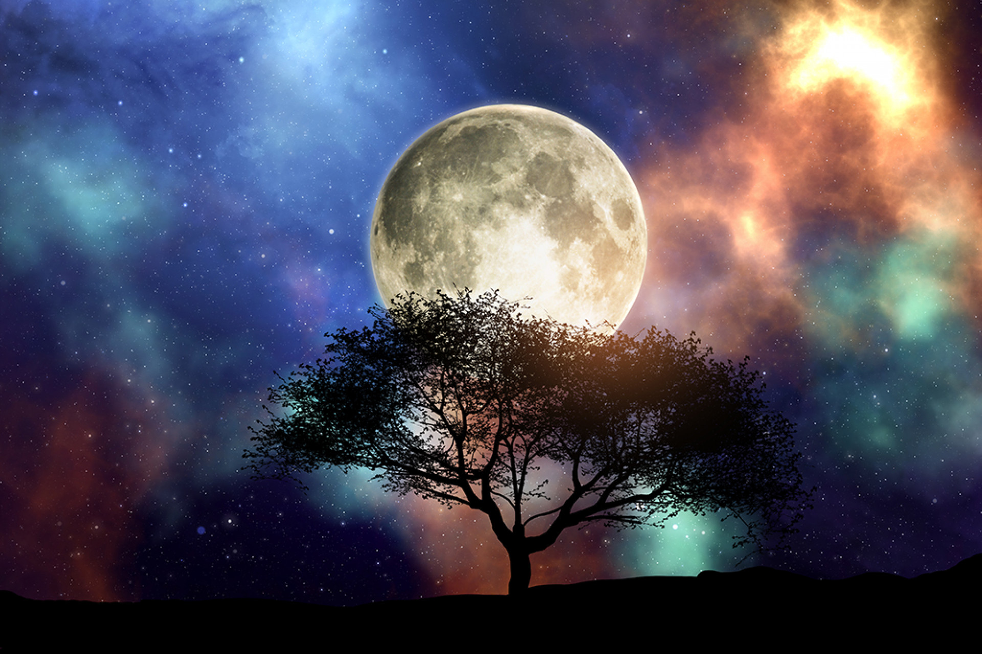 3D render of a silhouette of a tree against a space sky with moon