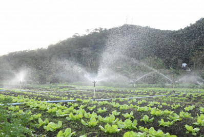 Secretaria de Meio Ambiente convoca produtores agroecológicos para chamada pública de alimentação escolar