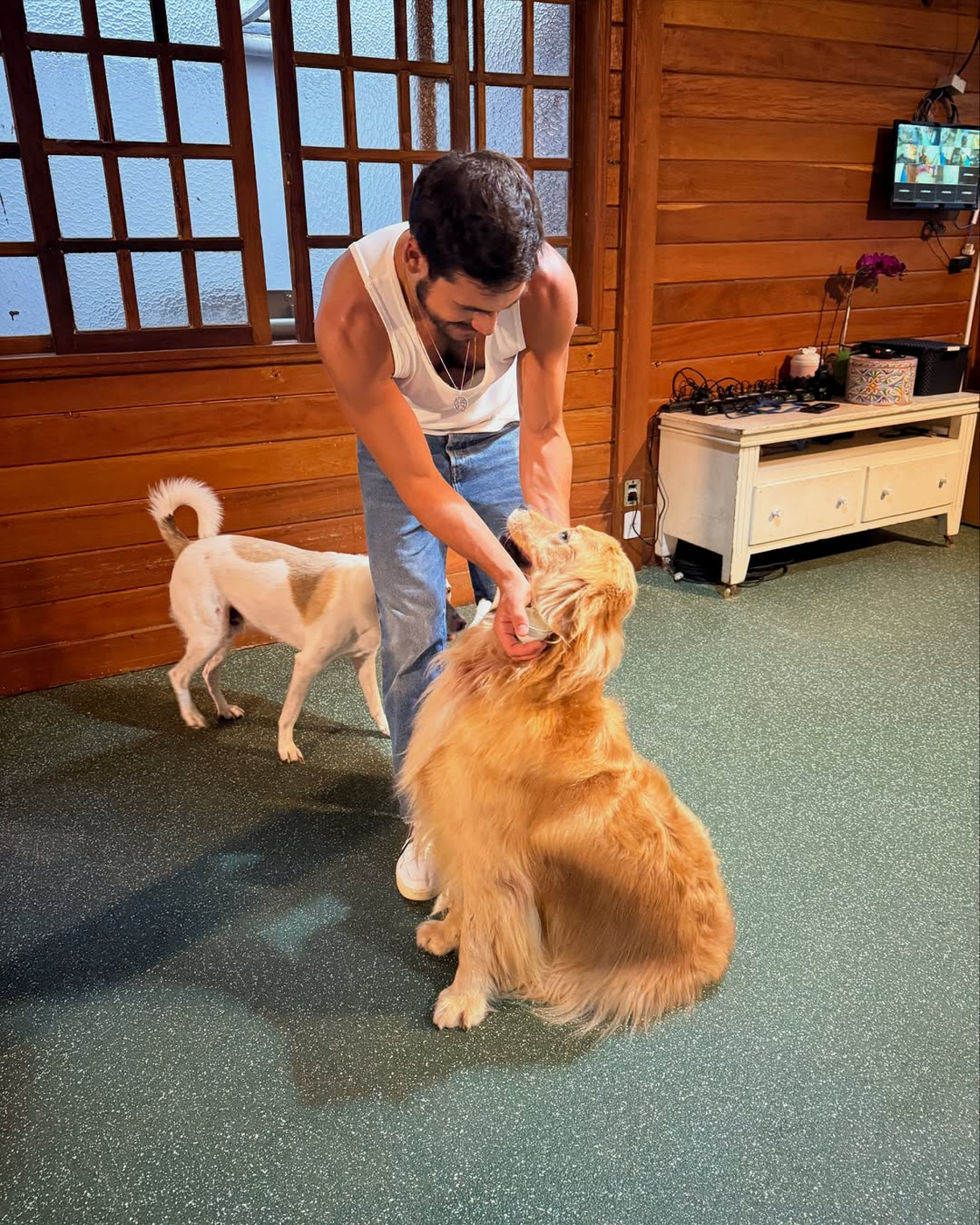 Nicolas Prattes interagindo com o cachorro que atuará no filme 'Minha vida com Shurastey'
- Reprodução / Instagram