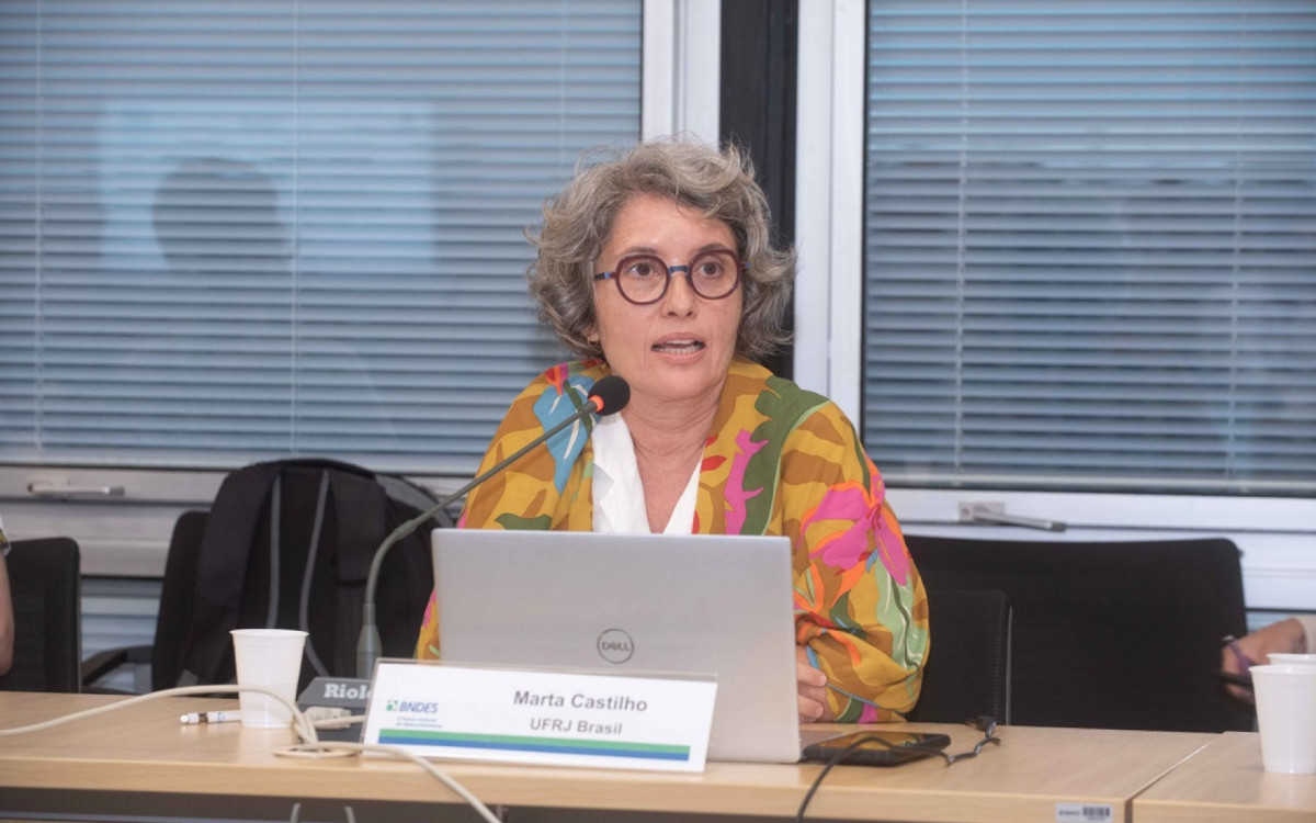 Marta Castilho: professora da UFRJ