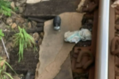 Granada é encontrada na linha férrea em Vigário Geral