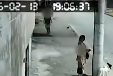 Mulher abandona cadela amarrada a poste na Avenida Brasil