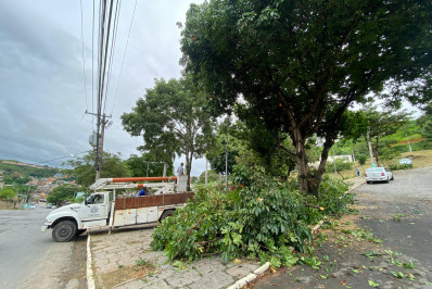 Ação de poda de árvores será iniciada no Centro de Três Rios
