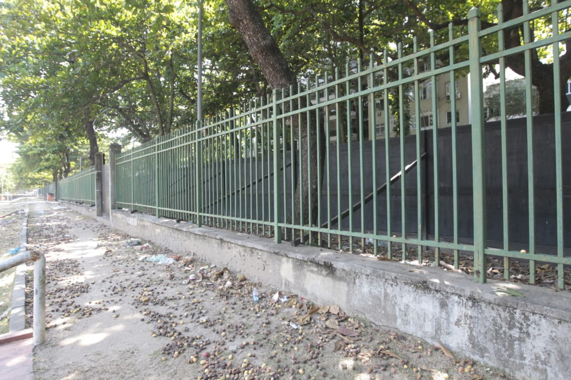 Jardim de Alah passará por revitalização e retirada de 130 árvores - Reginaldo Pimenta / Agência O Dia