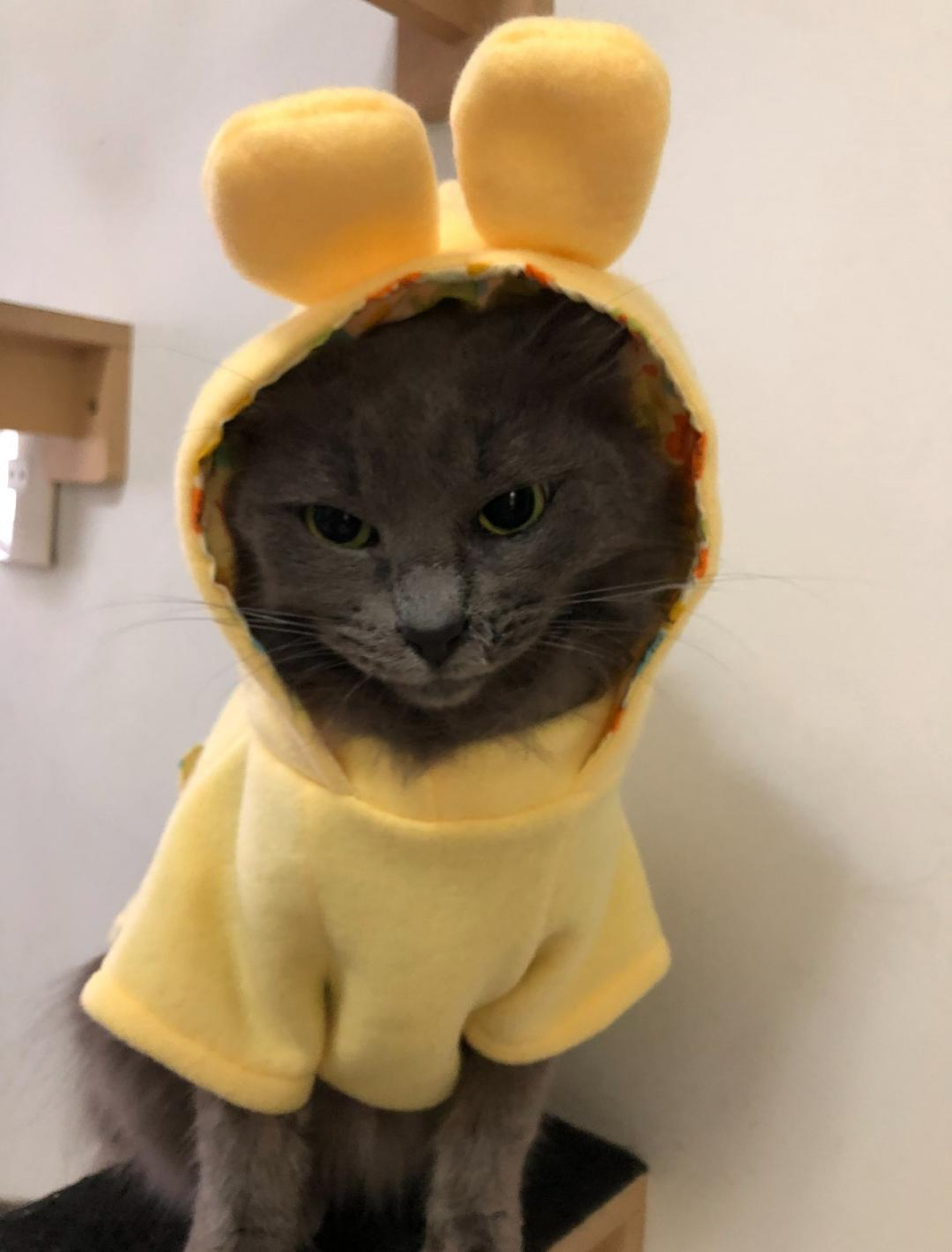 Estilosa, Juliana posa para câmera, que registra seus longos e volumosos bigodes