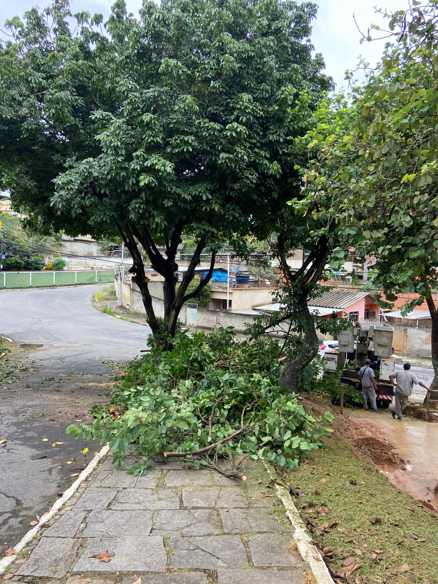 Diversas ruas devem ser contempladas com a ação