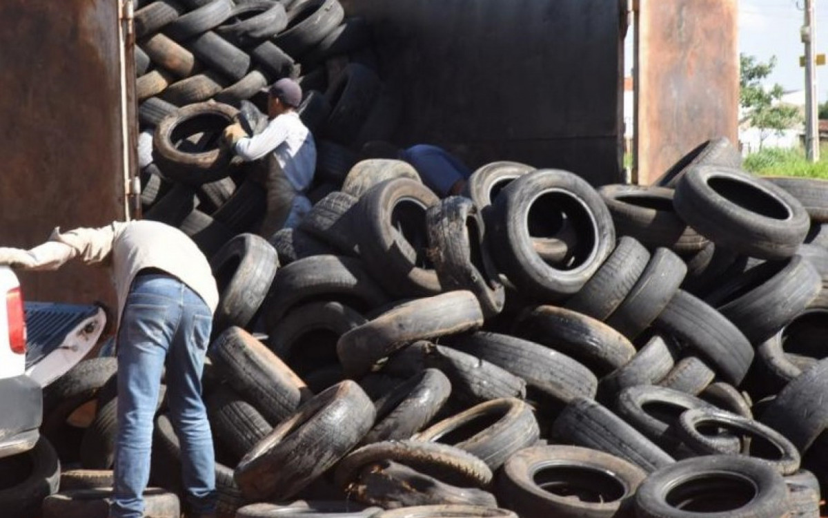 O acúmulo de pneus não é aconselhável, pois os mosquitos se proliferam rapidamente