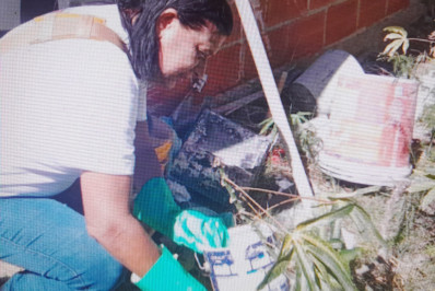 Estratégia contra o Aedes aegypti tem mais de quatro mil imóveis visitados