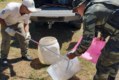 Serpente é resgatada pela Guarda Ambiental de Nova Iguaçu em Iguaçu Velho