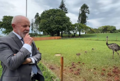 Deputado pede à CGU investigação sobre consumo de ovos de ema e jabuti por Lula