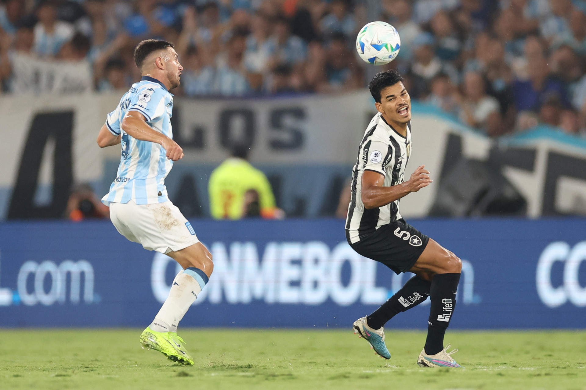 Racing x Botafogo pela Recopa Sul-Americana - V&iacute;tor Silva/Botafogo