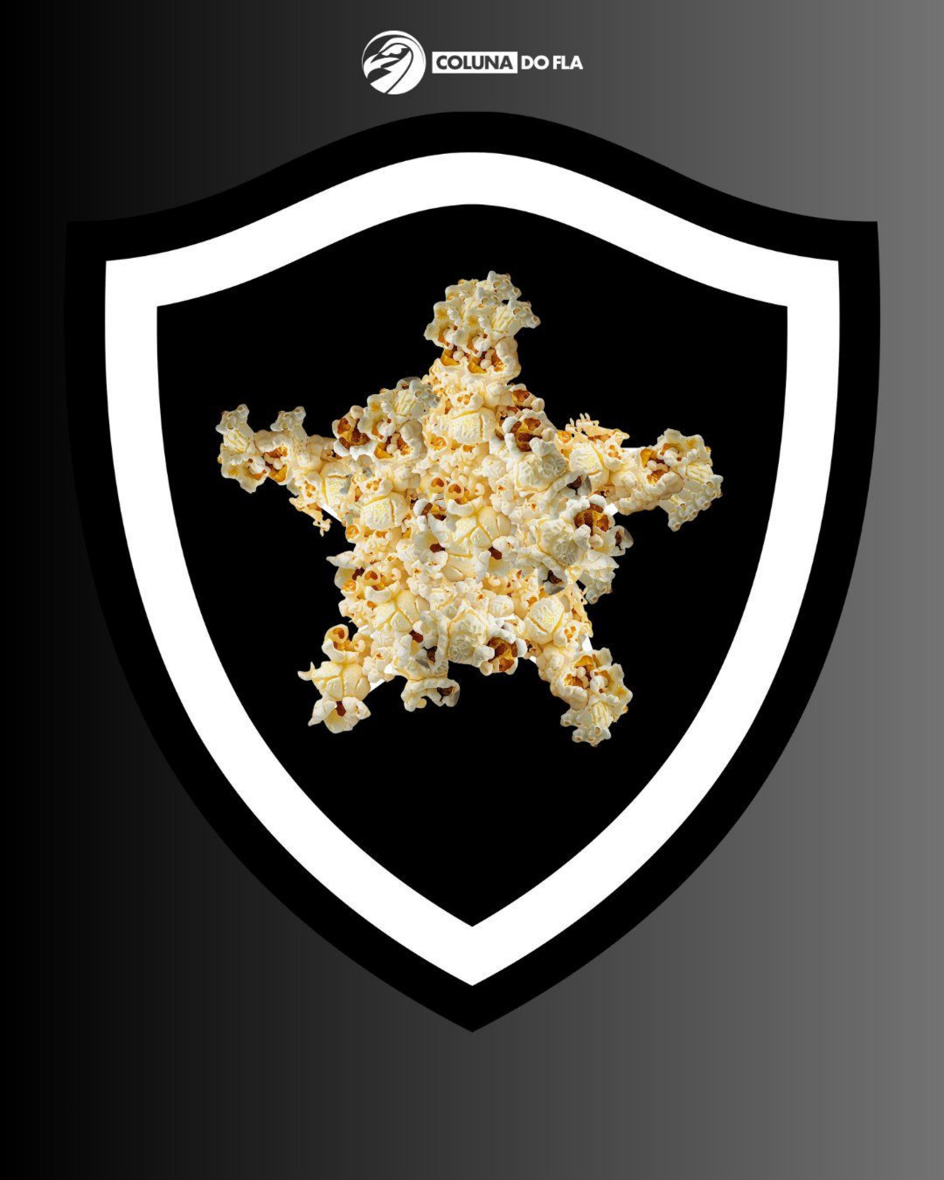 Memes da derrota do Botafogo para o Racing - Reprodução/Coluna do Fla