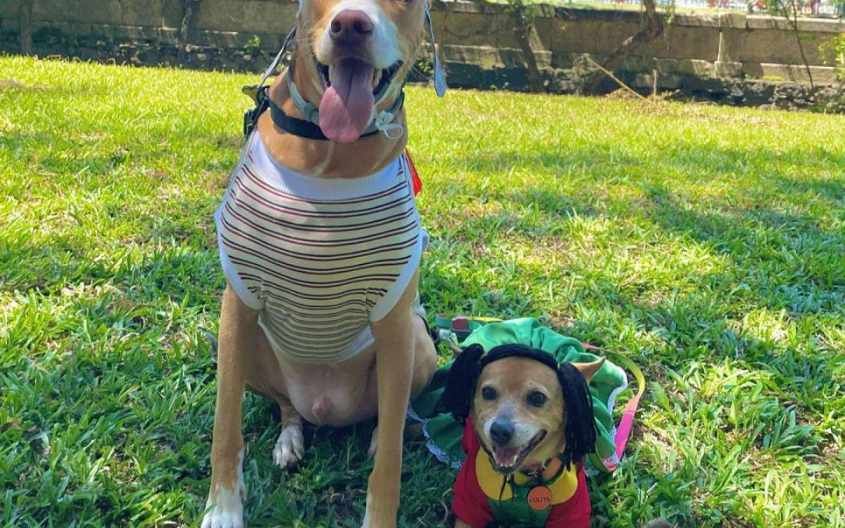 Nicolas e Lolita curtem a folia