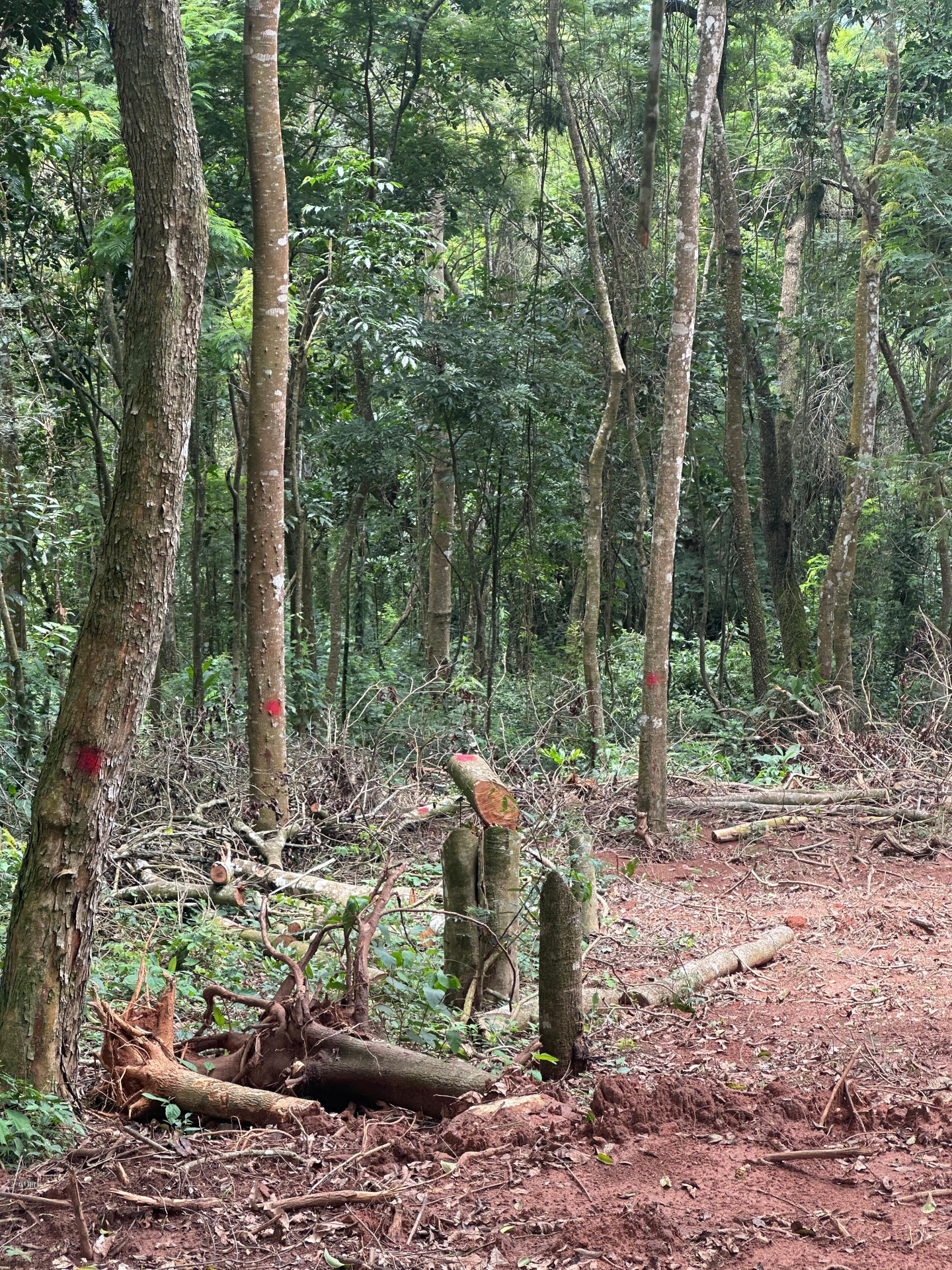 Operação Eldorado, em Areal
