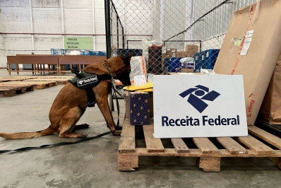 Receita apreende R$ 16,5 mil em ecstasy em transportadora