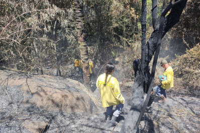 Guarda Ambiental de Nova Iguaçu combate dois incêndios florestais em Áreas de Proteção Ambiental