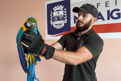 Guarda Municipal Ambiental de Nova Iguaçu resgata arara-canindé e jiboia