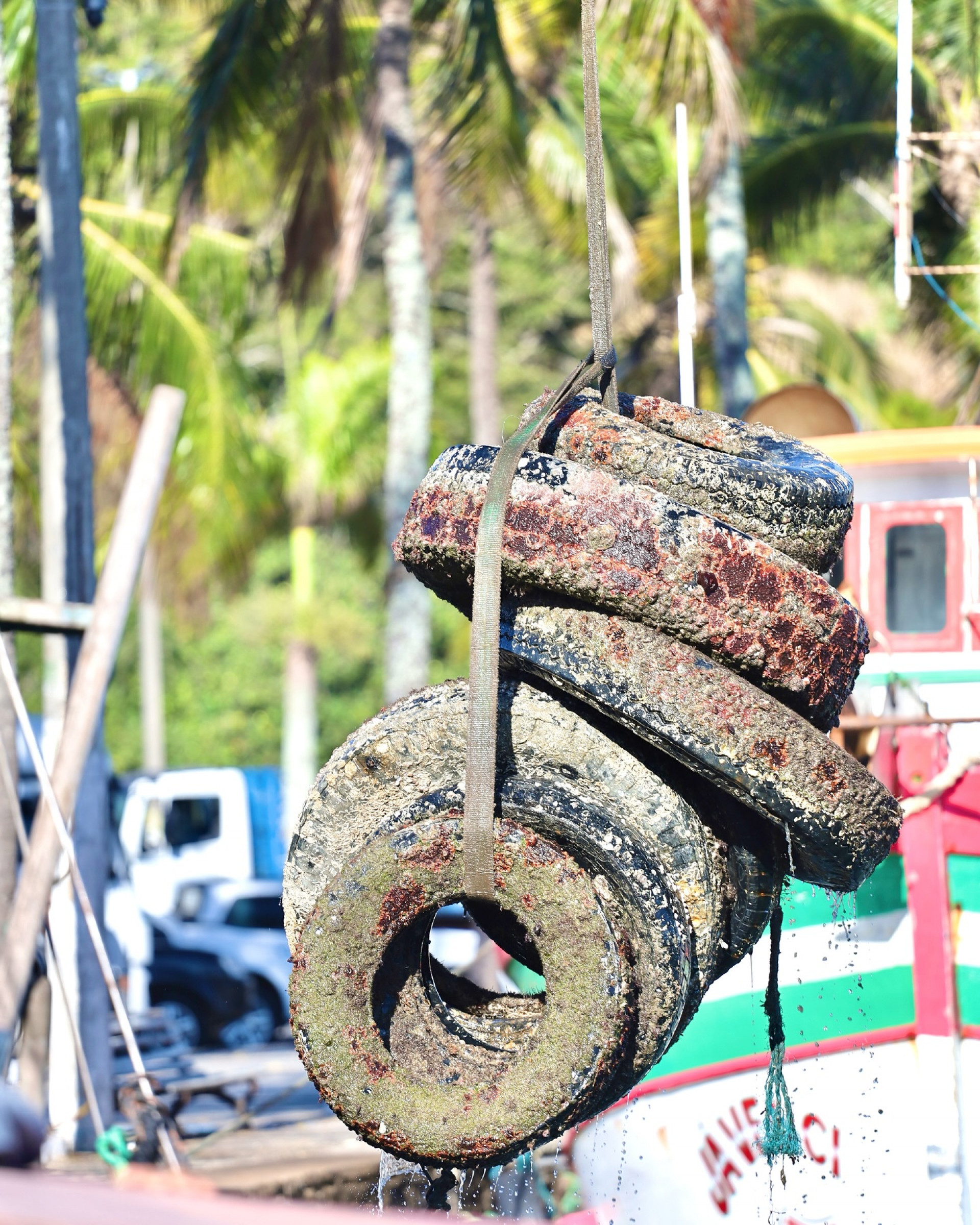 Pneus recolhidos durante mutirão de limpeza  - ASCOM