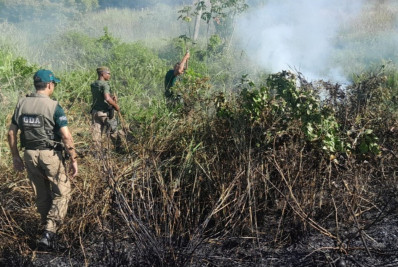 Incêndio atinge vegetação próxima à Praia do Secreto, na Zona Oeste