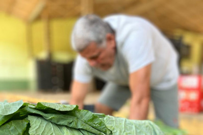 Mais de 50 famílias são beneficiadas pelo programa de distribuição de alimentos promovida pelo Instituto Dagaz
