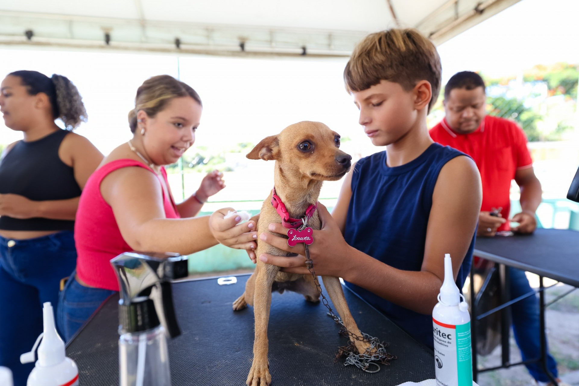 Secretaria Municipal dos Direitos dos Animais de Saquarema realizou ação no bairro Guarani - Divulgação?Prefeitura de Saquarema