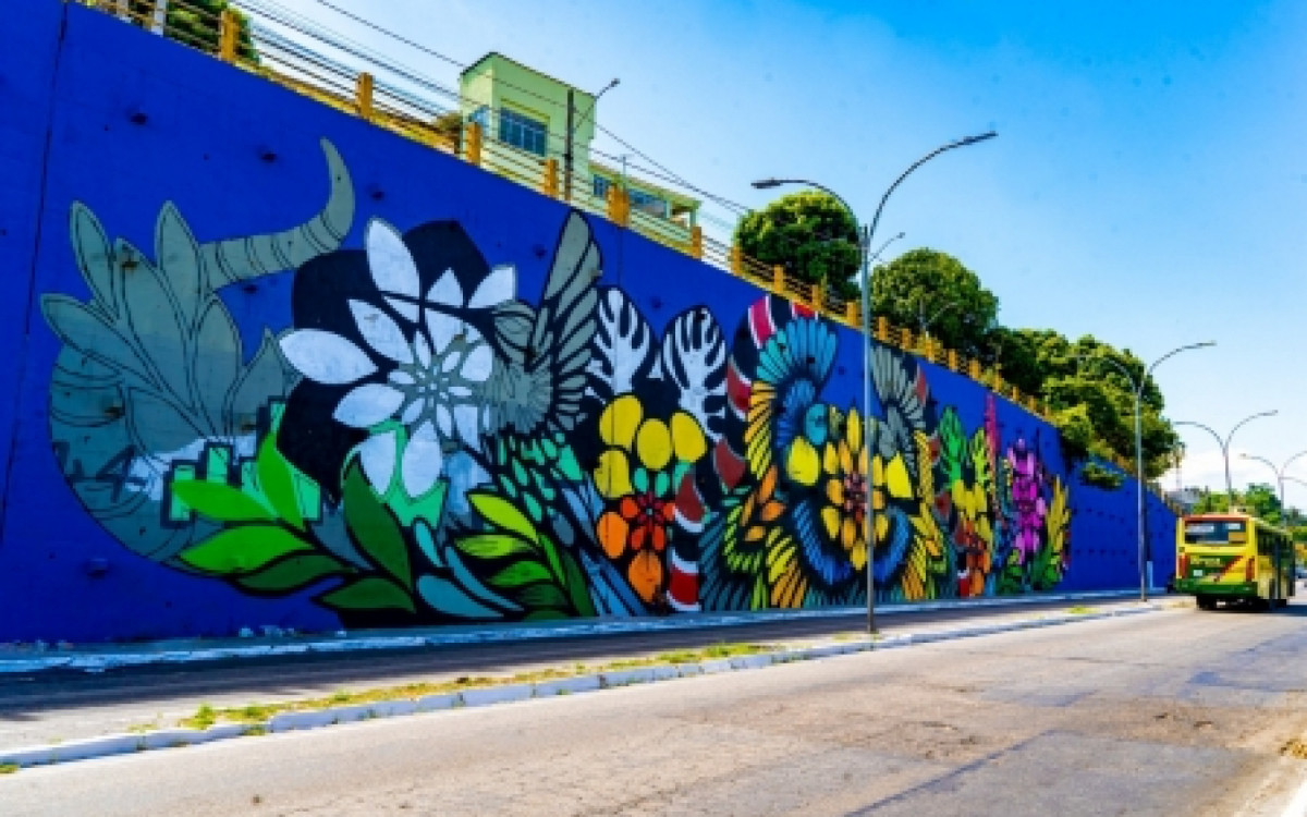 Duque de Caxias ganha mural da artista Rafamon