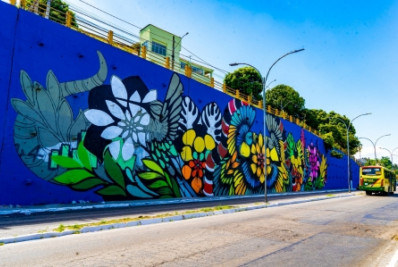 Duque de Caxias ganha mural da artista Rafamon